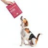Beef Organ Dog Supplement Brothhh Mess Free Nutrition-6