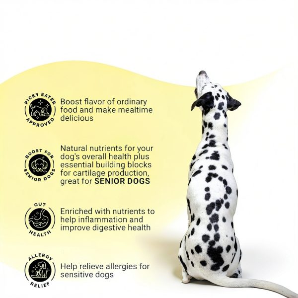 Brutus Bone Broth Dog Food Topper Joint Health Protein-5
