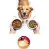 Beef Organ Dog Supplement Brothhh Mess Free Nutrition-1