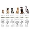 Brutus Bone Broth Dog Food Topper Joint Health Protein-2