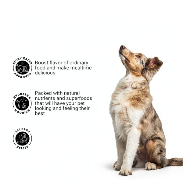 Dog Meal Topper Brutus Broth Powdered Veg Broth-7