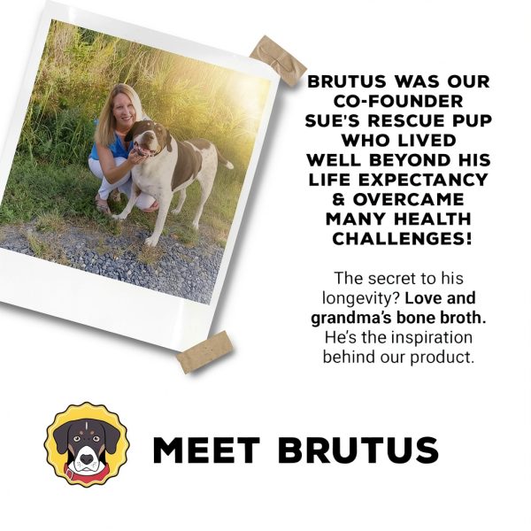 Dog Meal Topper Brutus Broth Omega Powder for Skin-8