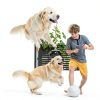 Pet Bone Broth Primalvore Organic Dog Food Topping-5