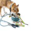 Dog Bone Broth Powder Brutus Travel Food Topping-5