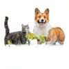 Pet Bone Broth Primalvore Organic Dog Food Topping-2