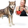 Dog Meal Topper Brutus Broth Powdered Veg Broth-5