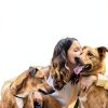 Turmeric Dog Food Toppers by Gott Pet Products-4