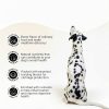 Dog Bone Broth Powder Brutus Travel Food Topping-7