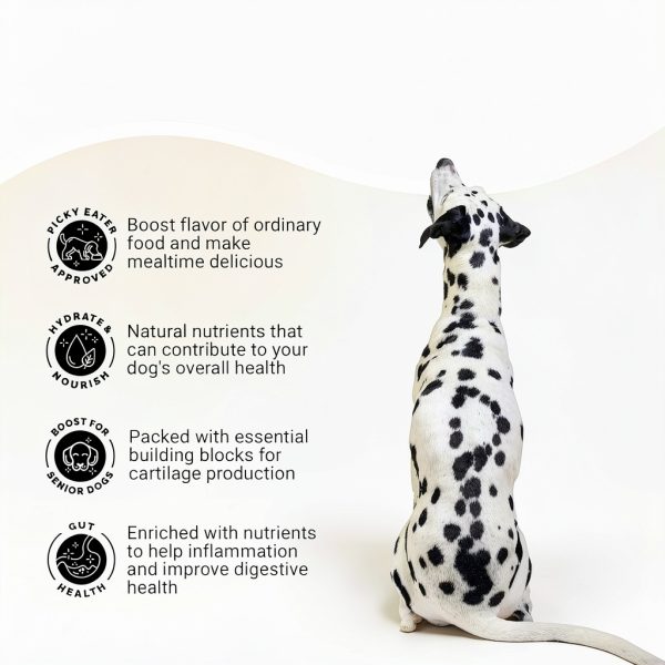 Dog Bone Broth Powder Brutus Travel Food Topping-7