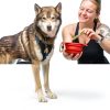 Dog Meal Topper Brutus Broth Omega Powder for Skin-5