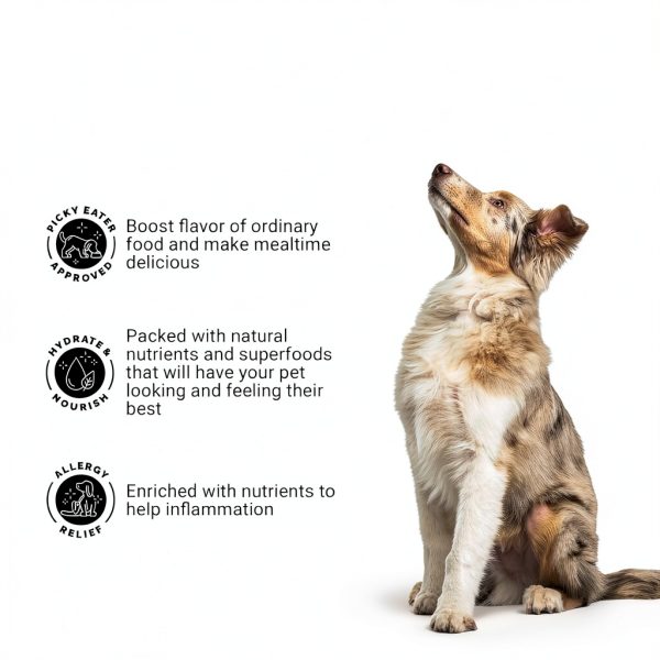 Dog Meal Topper Brutus Broth Omega Powder for Skin-7