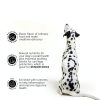 Bone Broth Powder Dogs Brutus Broth Topping-7