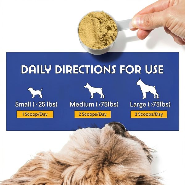 Wonder Paws Bone Broth Powder for Dogs Health-4