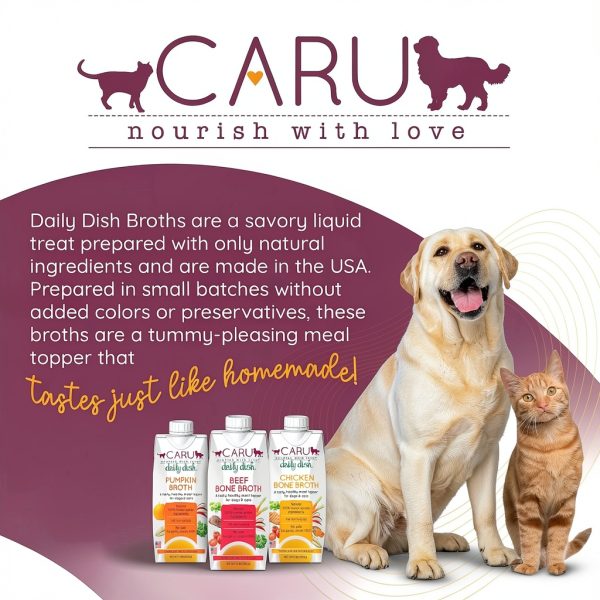 Caru Daily Dish Pumpkin Broth Food Topping 17.6 Fl Oz Pack of 3-5