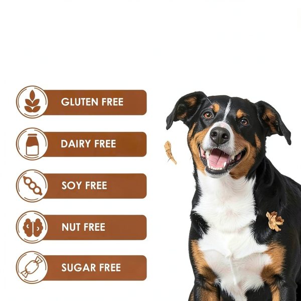 Dog Bone Broth Powder Zammex Nutrition Grass Fed Joint Support-5