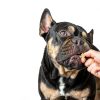 Get Joy Freeze Dried Raw Dog Treats Beef Heart 4 Ounce Pack of 3-4