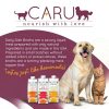 Pumpkin Dog Food Topping Caru Pet Food 17.6 Fl Oz Pack of 3 Natural-5